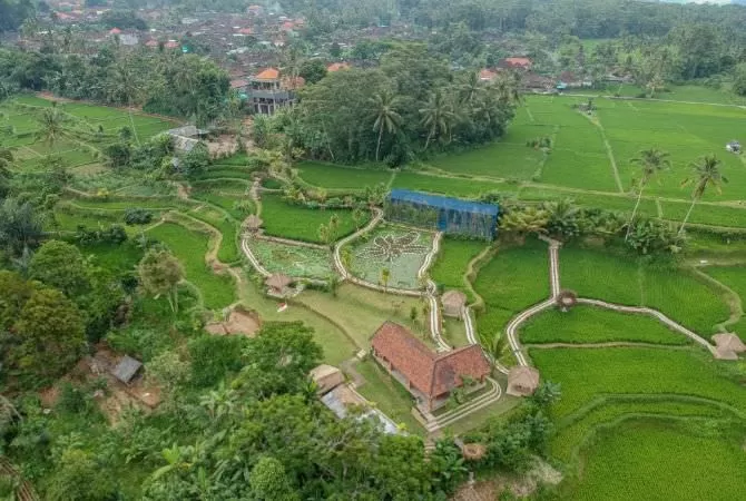 desa wisata taro juara i bca awards 2021 kategori alam m 287387